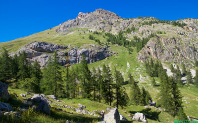 Cime de la Condamine ou la Rouya (2940m) 