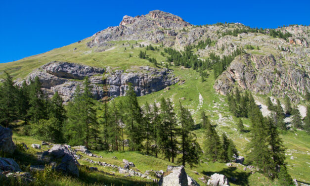 Cime de la Condamine ou la Rouya (2940m) 